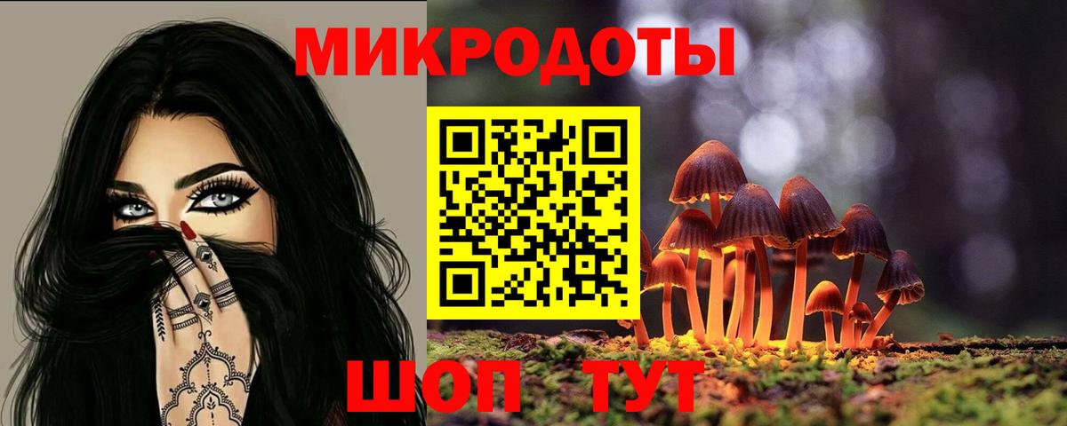 Псилоцибиновые грибы мицелий  Галлюциногенные грибы мицелий  Камышин  купить наркотики сайты  Вход с VPN 